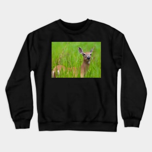 Doe in tall grass Crewneck Sweatshirt